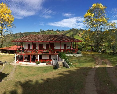 FINCAS